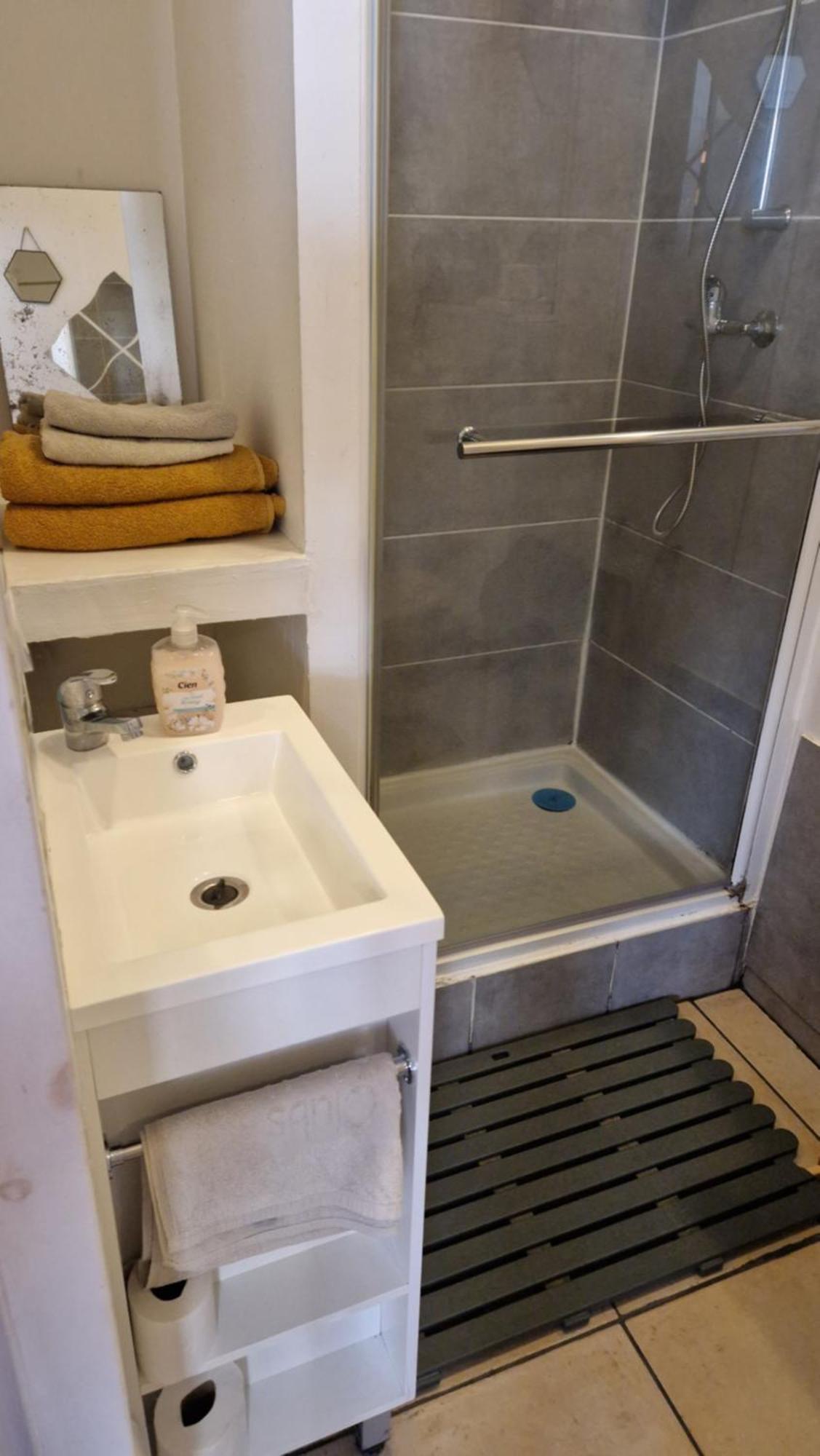 Loft Domloc Apartment Carcassonne Ngoại thất bức ảnh